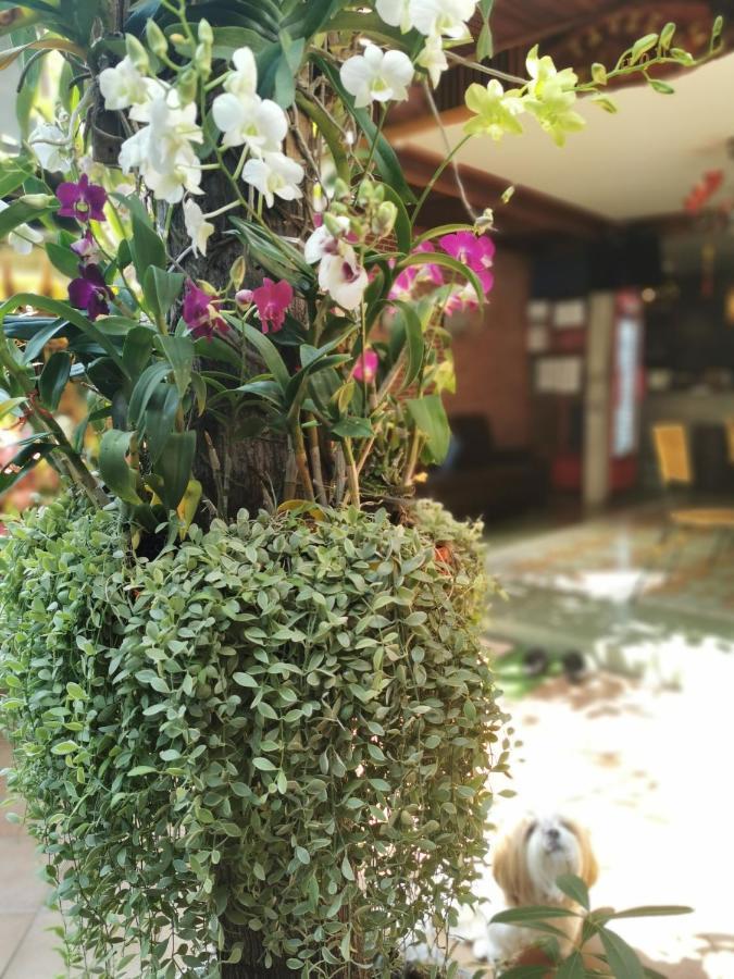 Tavee Guesthouse بانكوك المظهر الخارجي الصورة